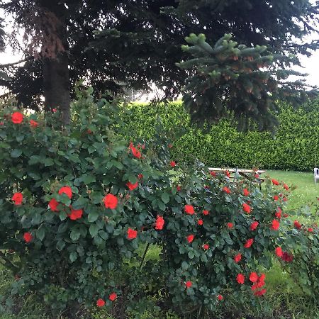 Villa Toscana Il Pino Lucca Dış mekan fotoğraf