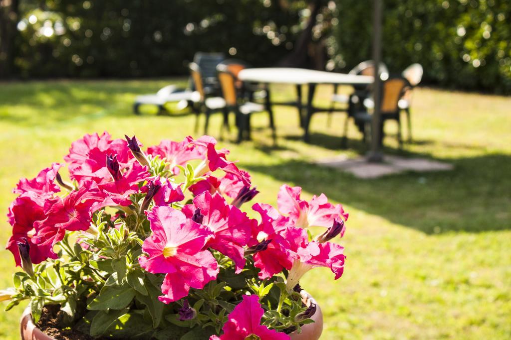 Villa Toscana Il Pino Lucca Dış mekan fotoğraf