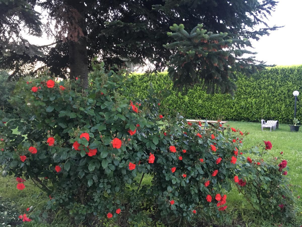 Villa Toscana Il Pino Lucca Dış mekan fotoğraf